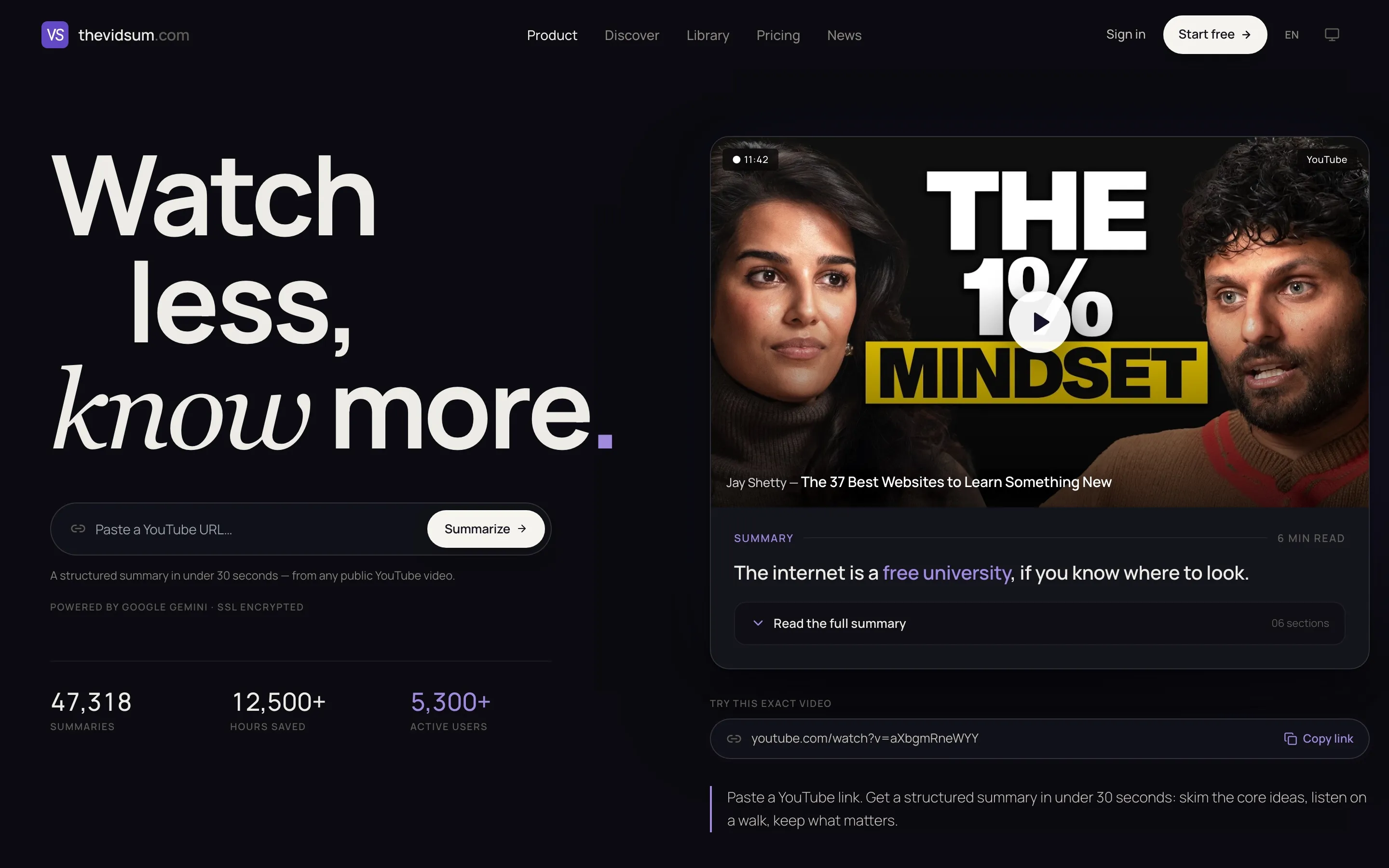 TheVidSum website